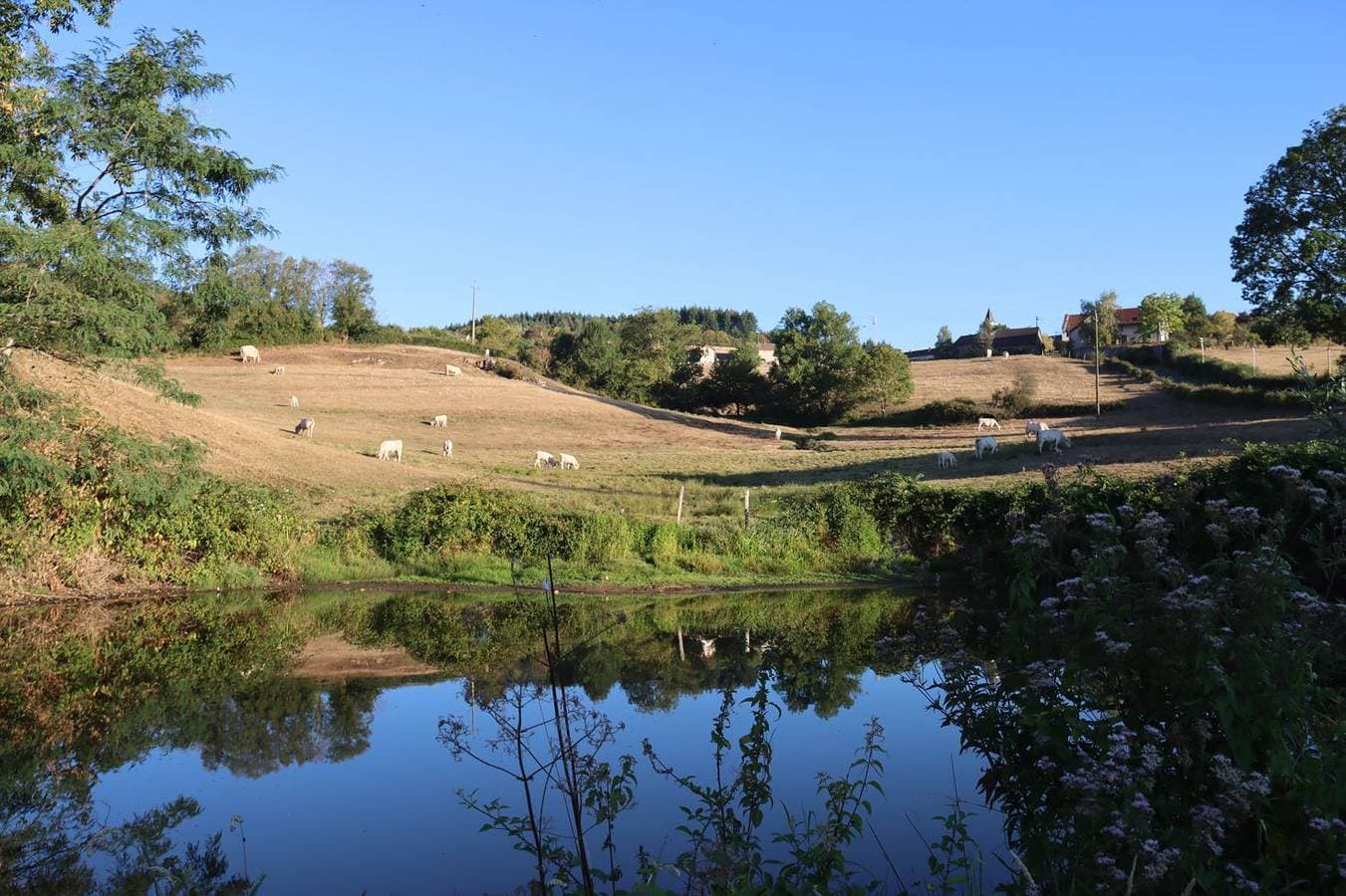 Foto 7 von 33: Gîte du Château de Sivignon