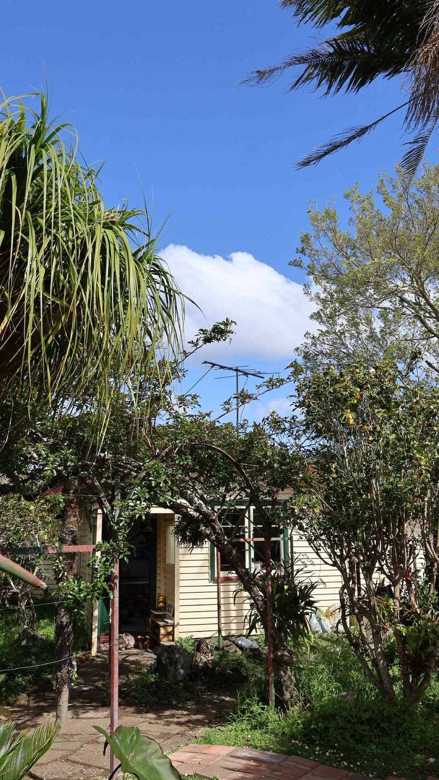 Foto 4 von 17: Tranquil Early 1900s Retreat in Auckland with Free Parking