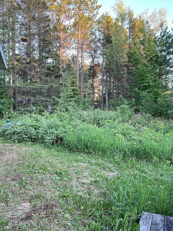 Foto 13 von 15: Minnesota North Shore Getaway Cabin