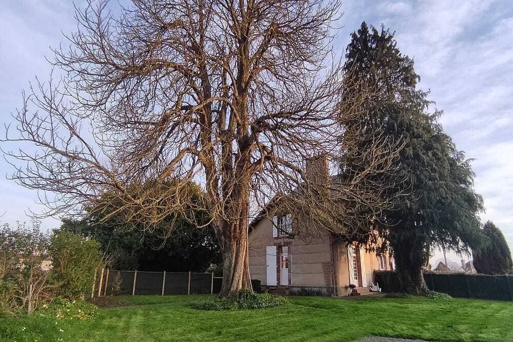 Foto 9 von 23: Gîte Les Trois Pommes, Normandy