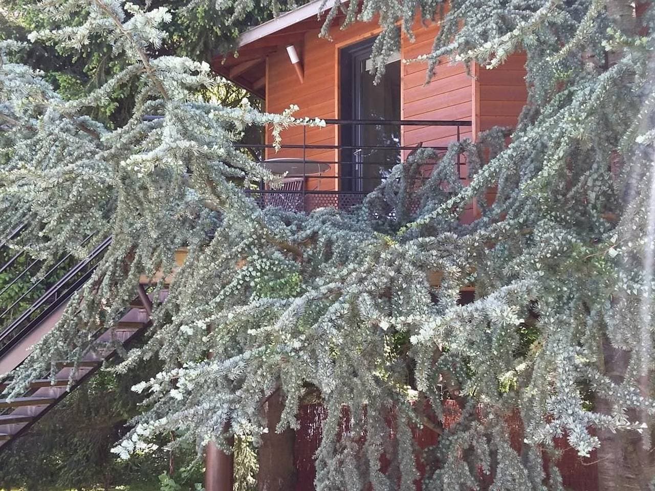 Foto 10 von 16: Baumhaus in Port-Saint-Père mit WLAN, Kino & Frühstück