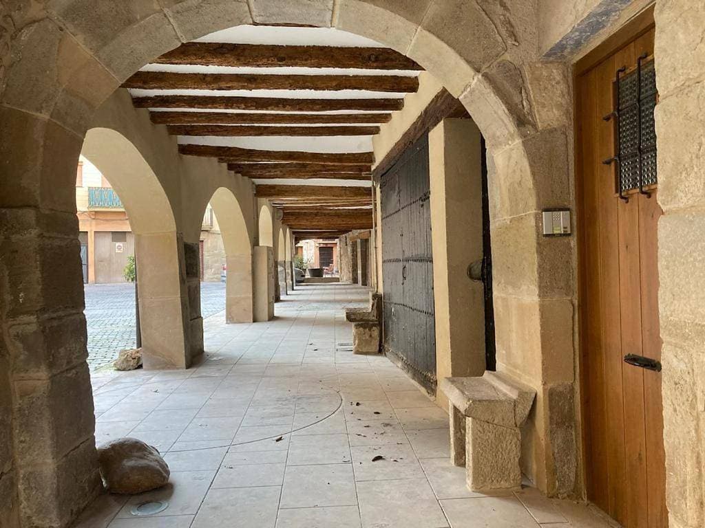 Quiet apartment in the heart of town with a large terrace l'Abatanador 1