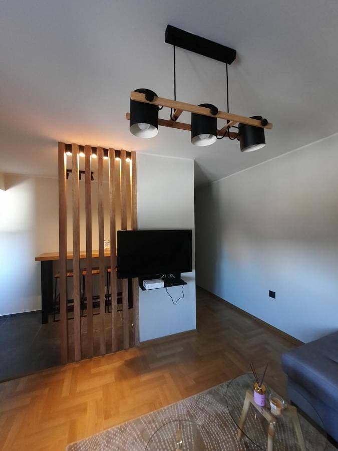 Apartment Pleasure Lux 1