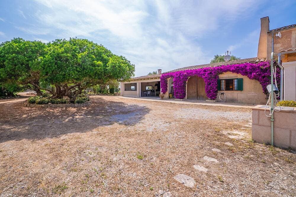 Foto 8 von 30: Lovely home in Felanitx with private swimming pool, can be inside or outside
