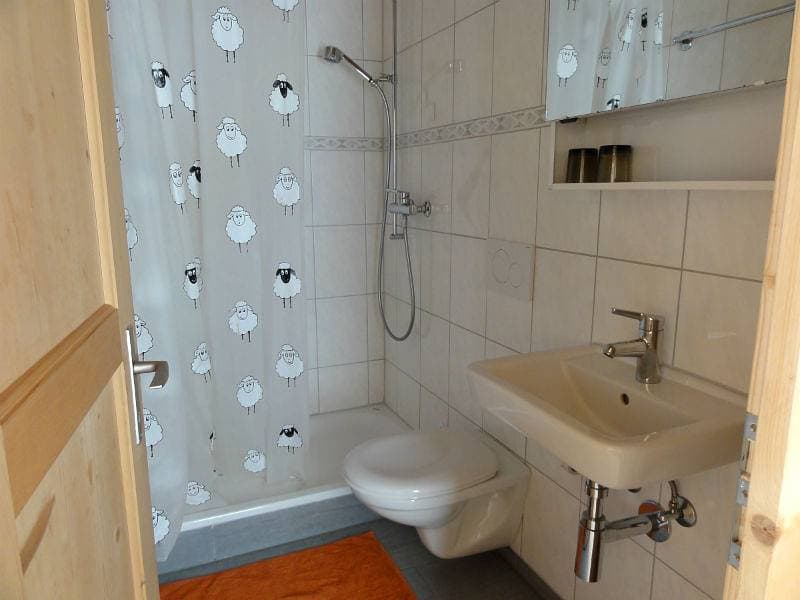 Foto 10 von 10: Ferienwohnung Ausserbäch Tester, Safien-Thalkirch - 2 Zimmer Ferienwohnung für max. 3 Pers.