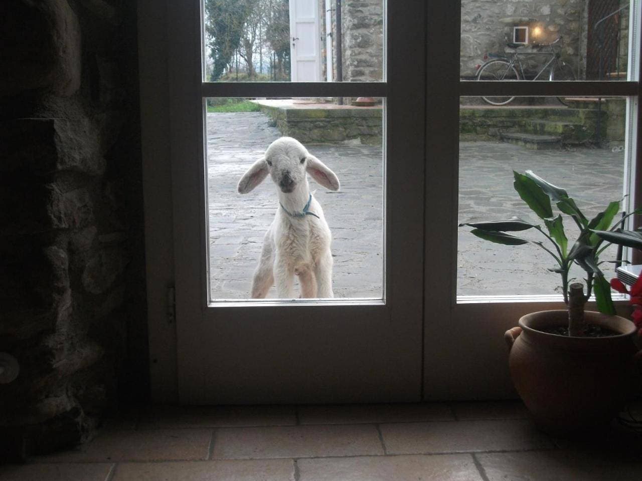 Casa Vacanza Locanda di Campagna 1