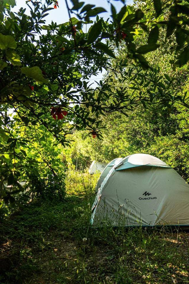 Foto 7 von 16: Tent