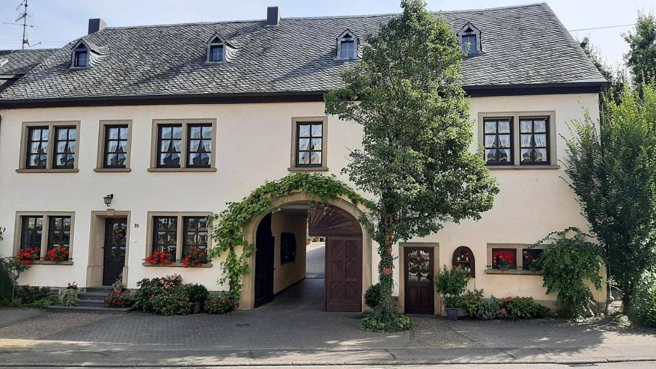 Weingut Gorges-Reinhard 1
