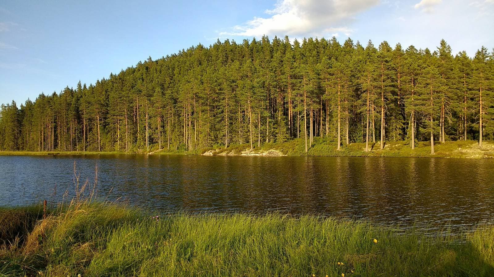 Foto 12 von 25: Urlaub im Herzen von Bergslagen an einem kleinen See