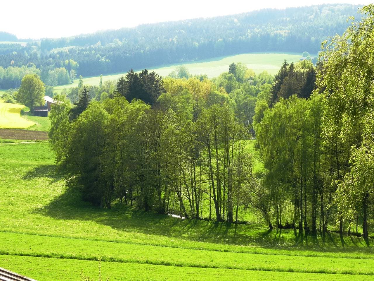 Foto 12 von 31: Ferienhof Obertennersreuth Lukas Feulner - Ferienwohnung Wiesenblick