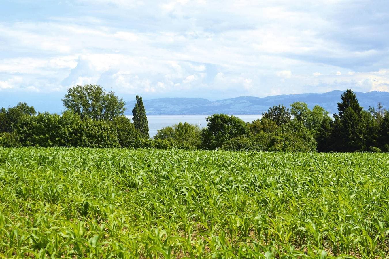 Foto 12 von 23: Wohnung nahe Bodensee und Alpen