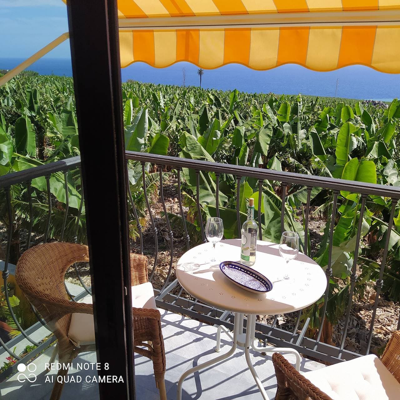 Foto 12 von 68: Clover „Trail Mountain La Palma“ mit Meerblick