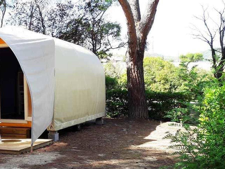 Foto 1 von 37: Flower Camping Provence Vallée - Unterkunft 2 personen - Coco Sweet 12m² 1 Zimmer (ohne Sanitäranlagen)