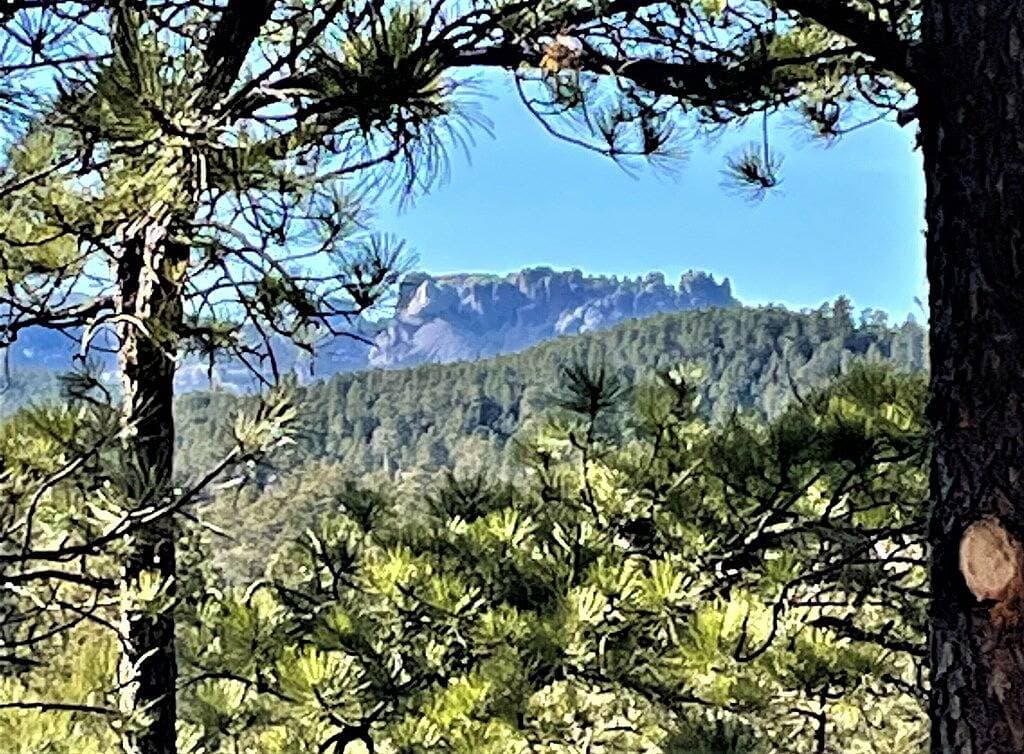 Foto 3 von 24: 15 min to Mount Rushmore, Black Hills.