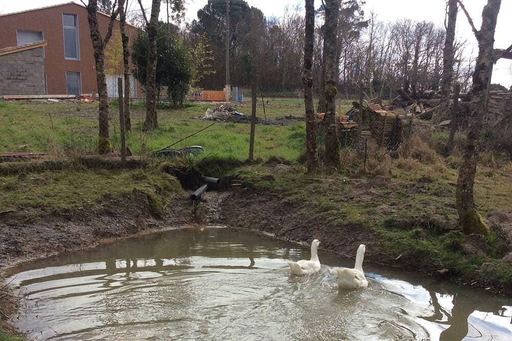 Foto 12 von 23: Schönes Haus 170 m2, beheiztes und überdachtes Schwimmbad, Whirlpool, klassifiziert 4 Sterne.