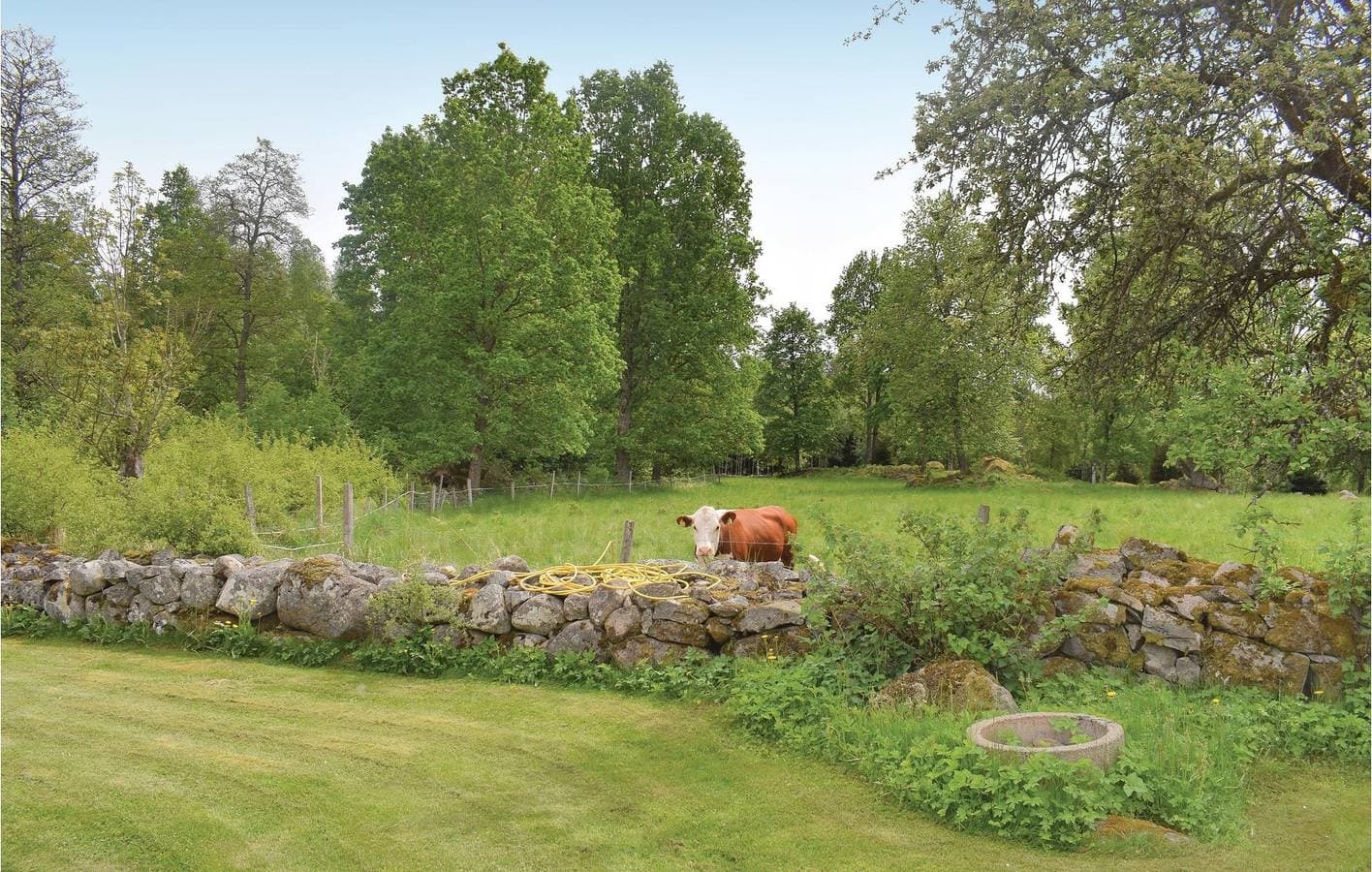 Foto 6 von 17: Ferienhaus für 3 Personen
