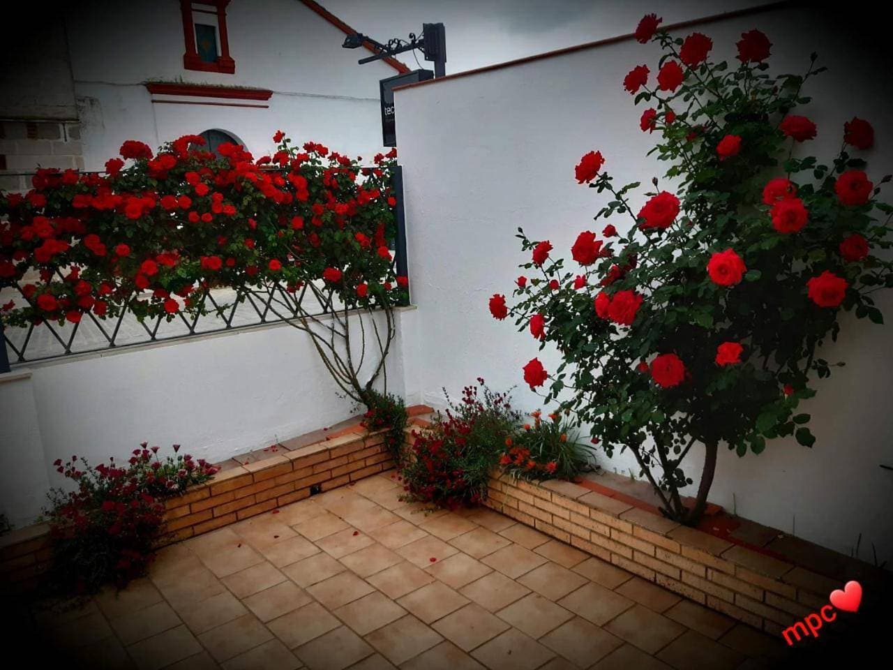 Foto 11 von 24: Holiday Home