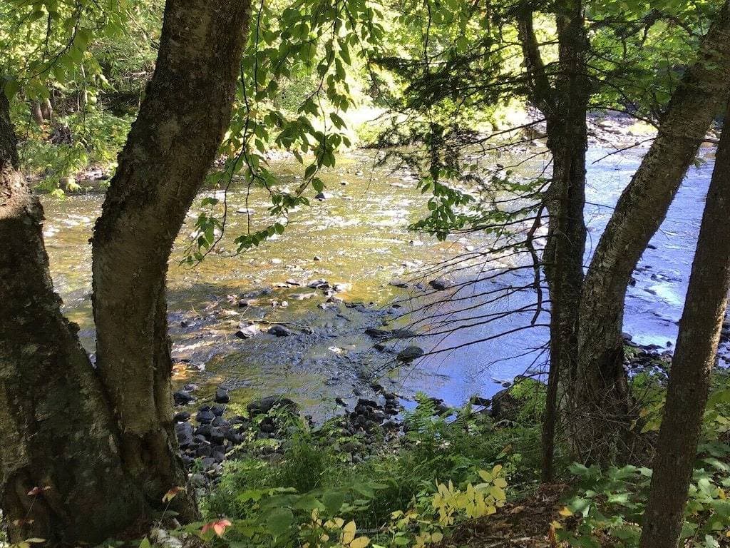 Foto 6 von 31: Algonquin Cabin auf dem Magnetawan River
