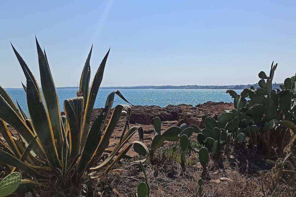 Foto 4 von 4: Long Term Vacation Home