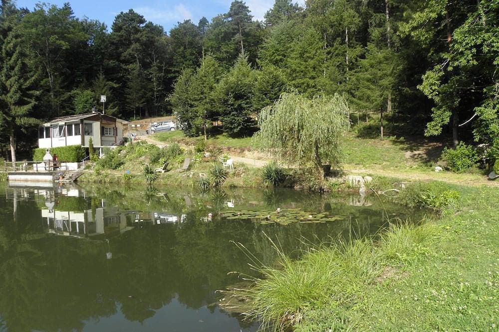 Foto 6 von 21: Chalet mit Blick auf einen Teich in einer grünen Umgebung.