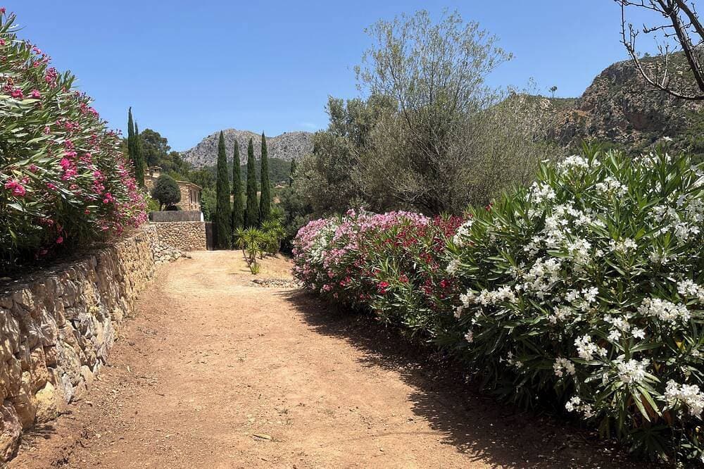 Foto 6 von 15: Ferien auf der Finca Can Juan