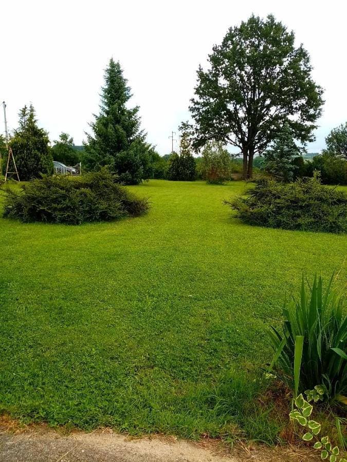 Foto 11 von 49: Ferienwohnung für 6 Personen mit Garten