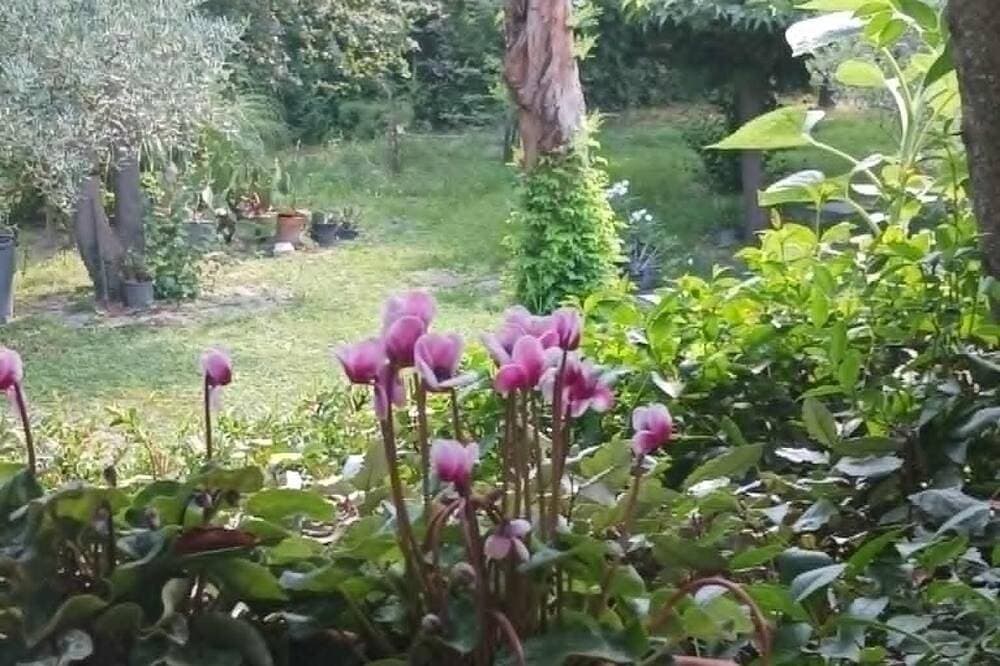 Foto 10 von 28: Die Palms & Lauriers Rosen, Lauriers Rosen