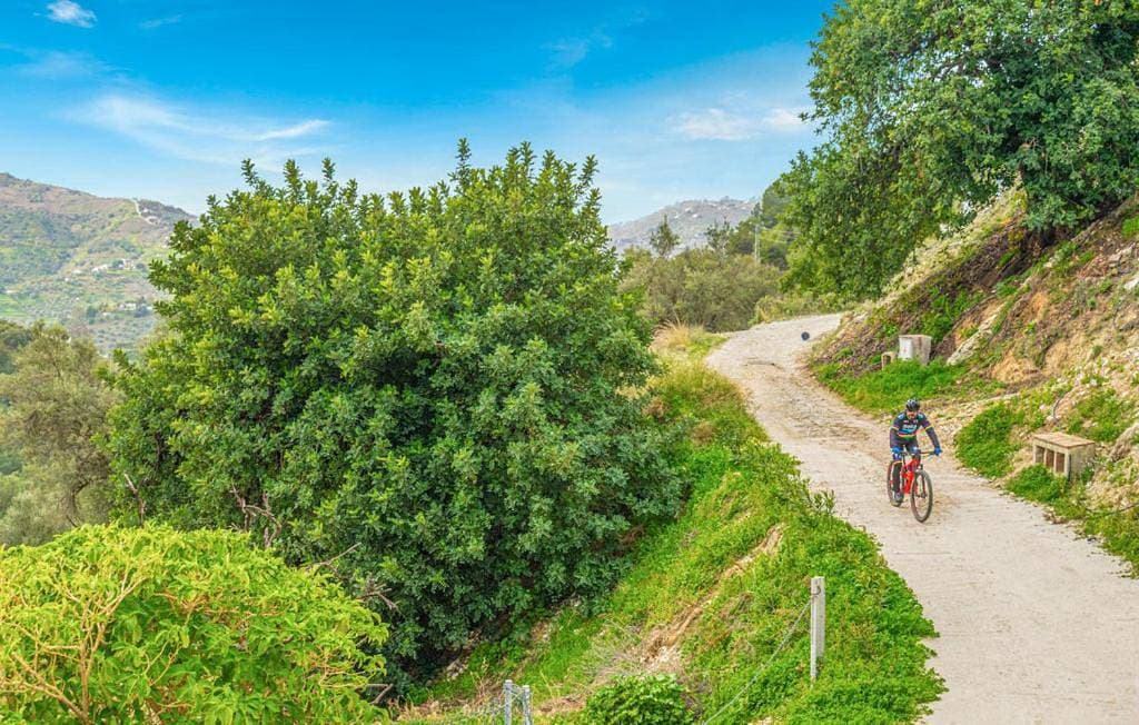 Foto 11 von 34: Two-Bedroom Villa