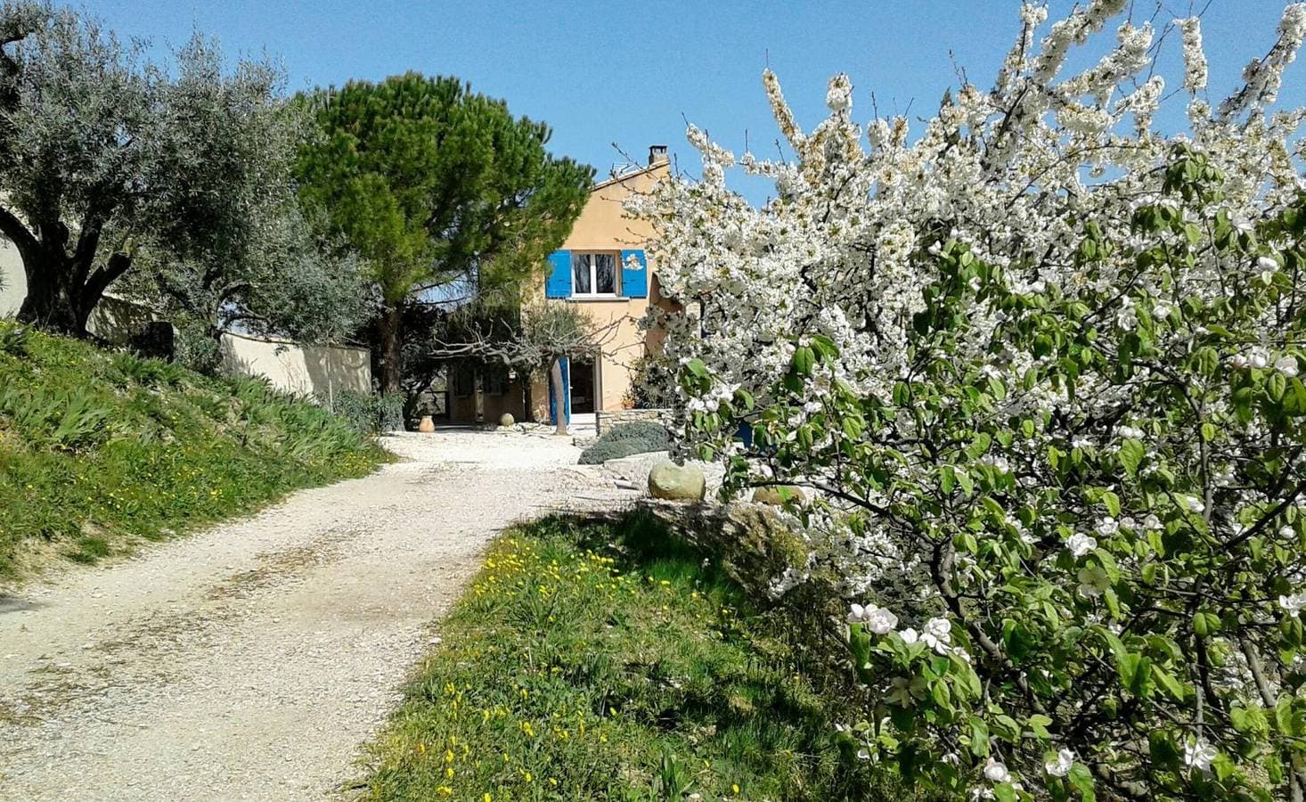 Foto 2 von 42: Bleu Du Calvaire au milieu des Oliviers