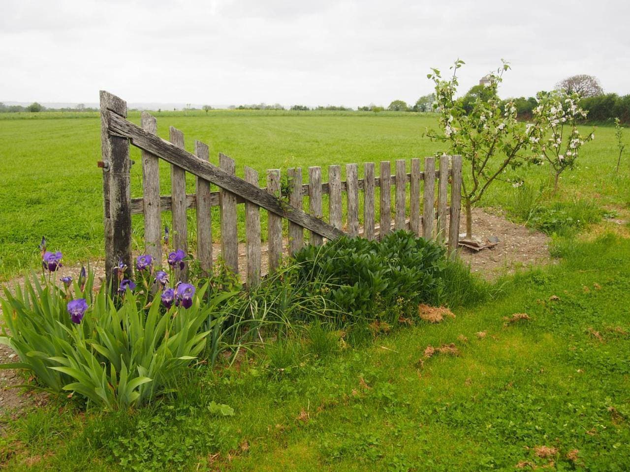 Foto 11 von 39: Holiday Home