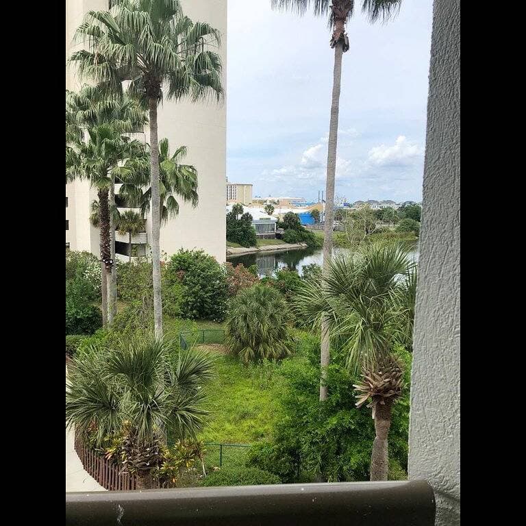 Foto 9 von 27: Neu renoviertes Resort-Studio in der Nähe von Fl Attractions❤ Grosse Lage