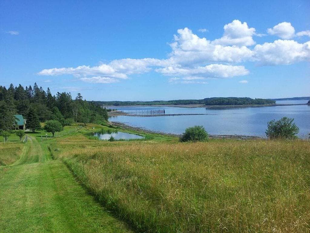 Foto 13 von 23: Blick auf die Cobscook Bay (Rossport am Meer)