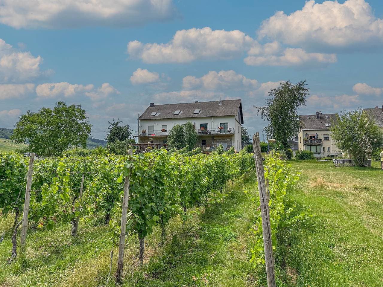 Aufenthalt beim Winzer direkt an der Mosel

 1