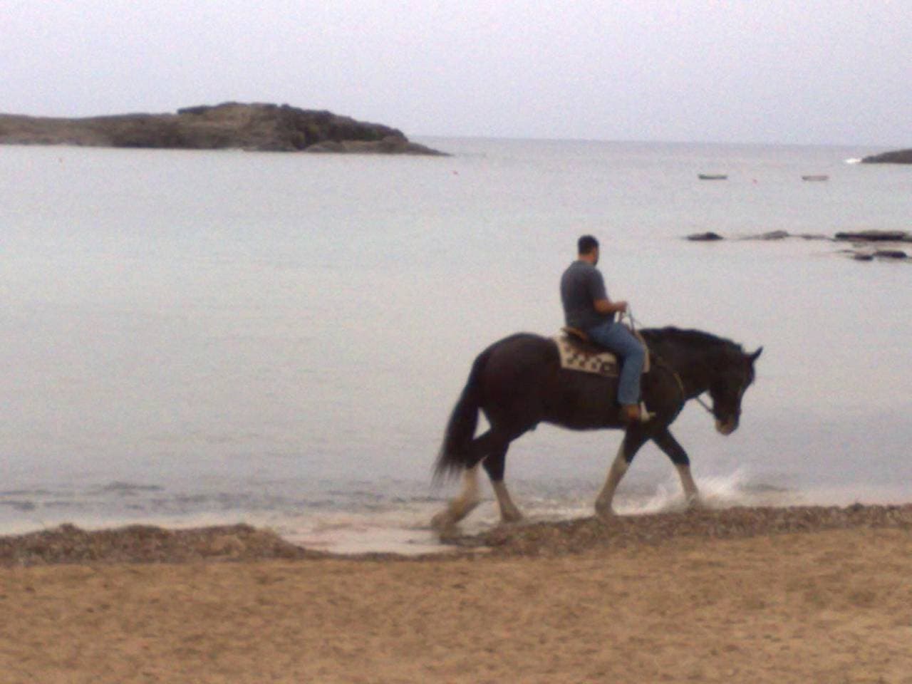 Foto 11 von 30: Appartamento Il Mare – Ruhige Lage nahe Pineta, Meerblick