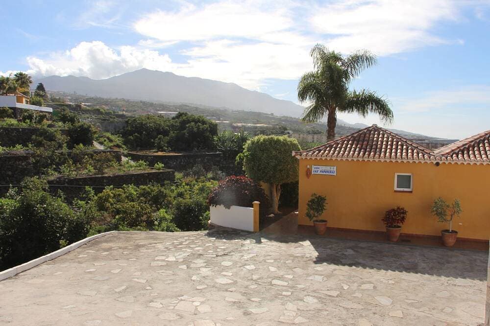 Foto 8 von 19: Las Papayeras B - Las Papayeras