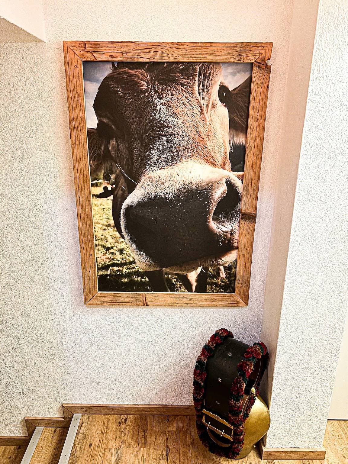 Foto 13 von 39: Ferienwohnung Griaß Di