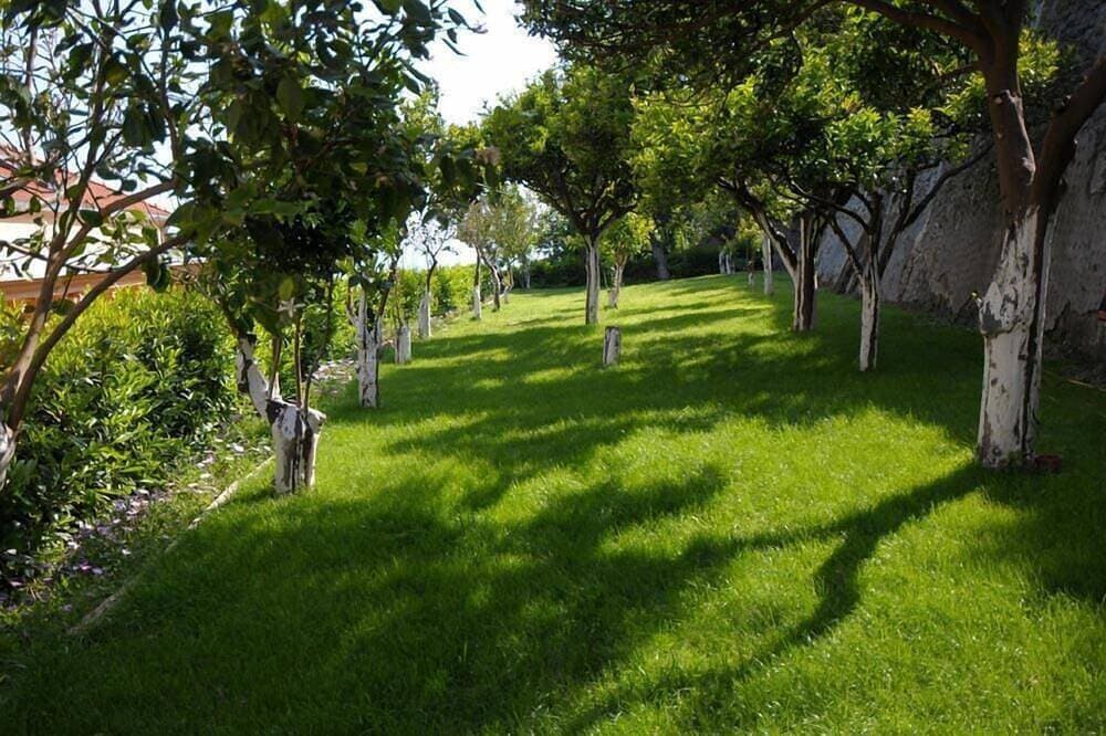 Foto 5 von 10: Mondrian in Amalfi Meerblick und Garten