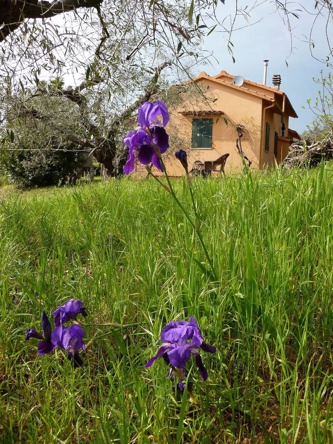 Foto 6 von 30: Podere Mulino Vecchio