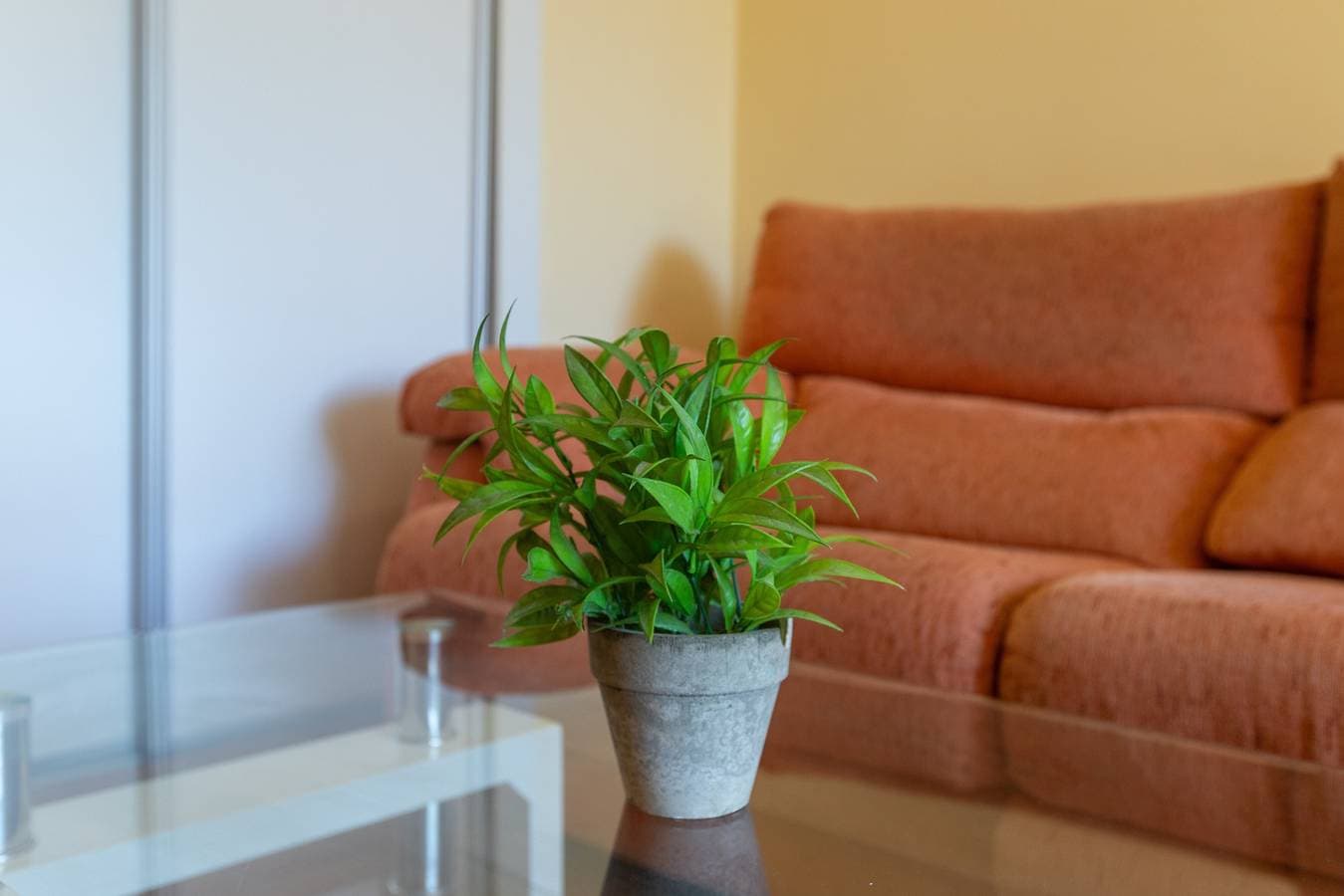Foto 3 von 22: Einzimmerapartment 'Torremolinos' mit Gemeinschaftspool, Gemeinschaftsgarten und WLAN