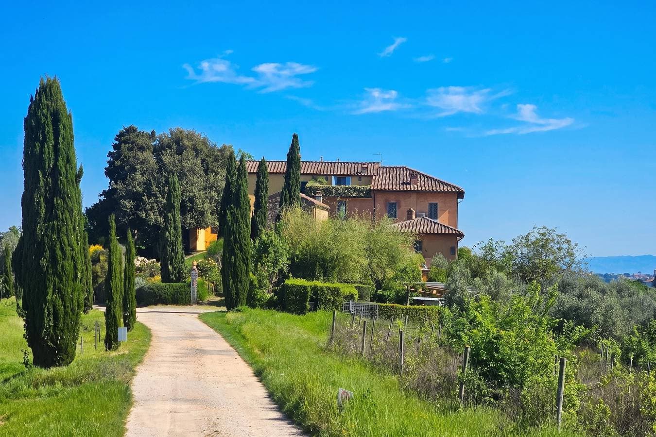 Villa Salivolpe Amazing Chianti View 6 1