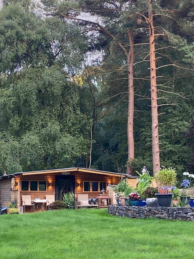 Lodge, Tranquil woodland setting 1