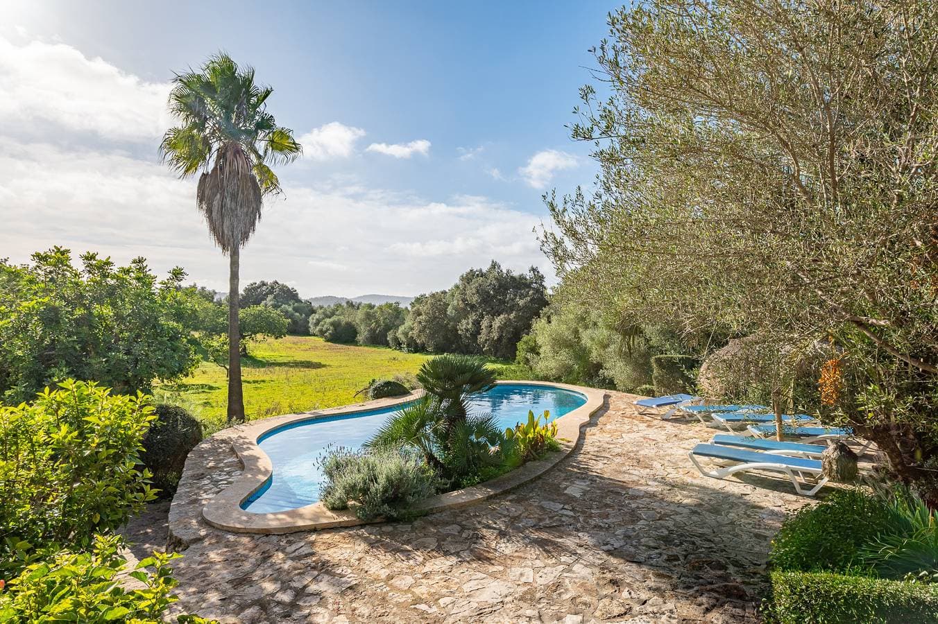 Foto 5 von 41: Finca Binifarda