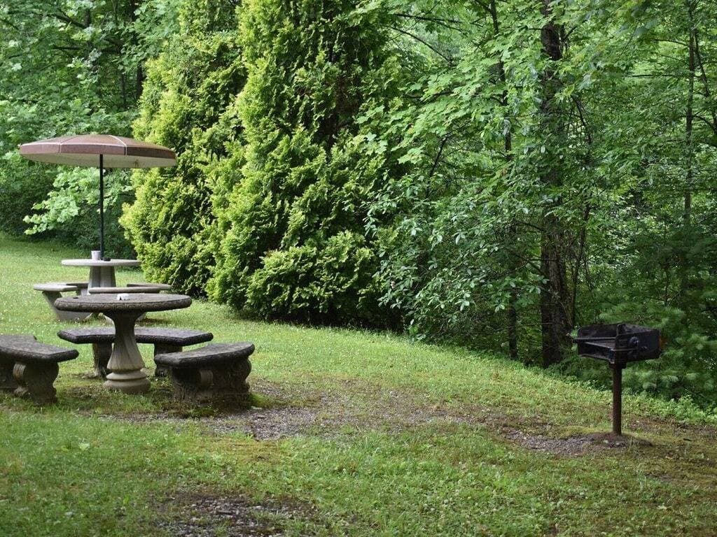 Foto 12 von 25: Hiawassee River Cabin Unit A