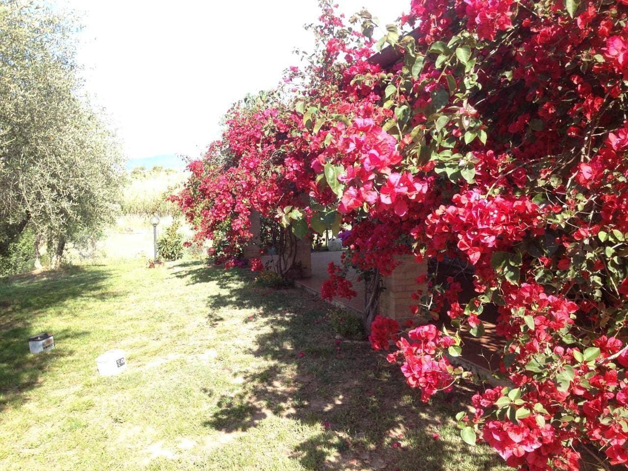 Foto 10 von 72: Holiday Home