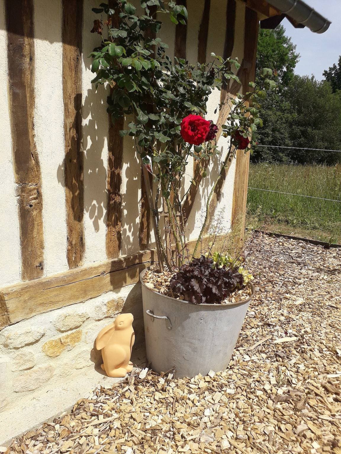 Foto 6 von 10: Kleine Unterkunft „Le chouette insolite“ mit privatem Garten und nordischem Bad