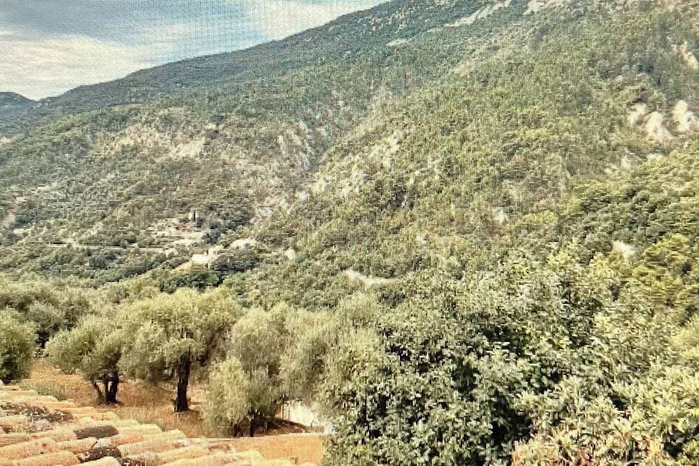 Experience the sweetness of Provence in this cocoon in Coaraze 1
