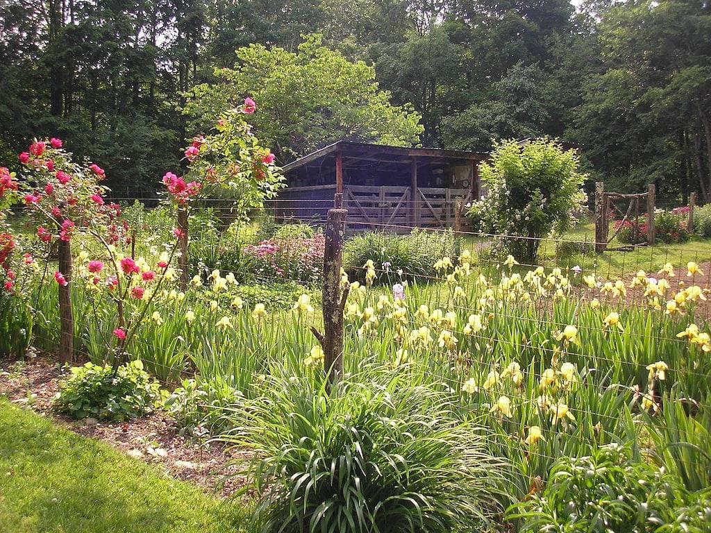 Smoky Mountains 20 min nach Gatlinburg am Creek, grenzt an Park, unter 100 $ Haustiere Ok! 1