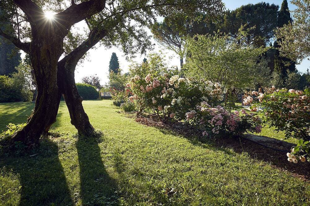 Foto 12 von 30: Oase der Ruhe nahe Perugia – Wohnung in Villa mit Privatgarten und Pool