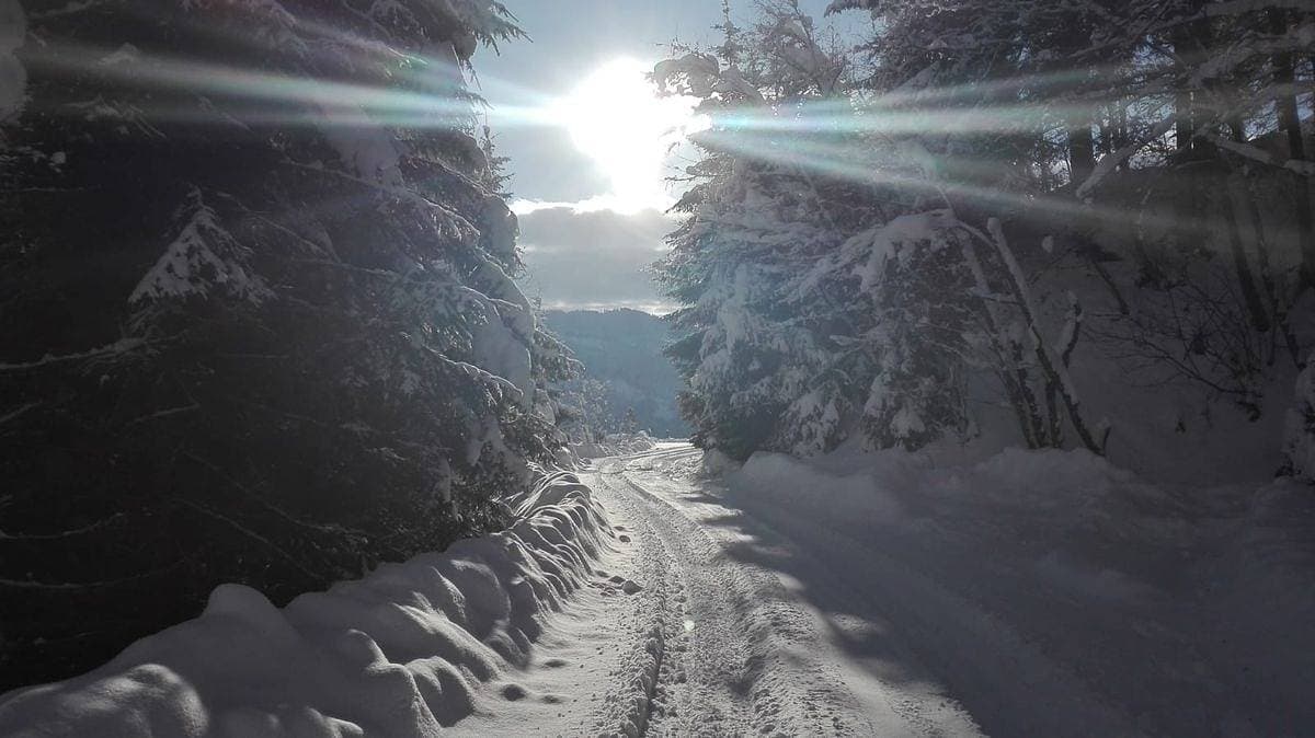 Foto 5 von 13: Neukam Hütte