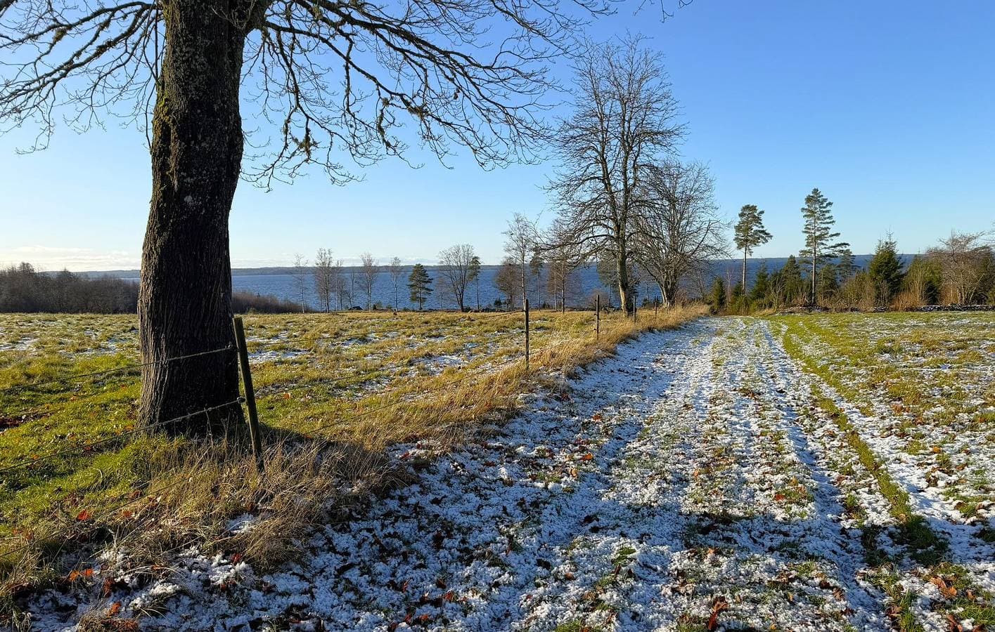 Foto 11 von 28: Ferienhaus für 8 Personen mit Seeblick